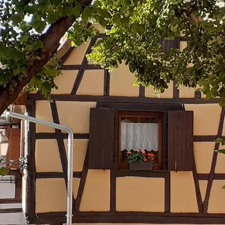 Gite De La Muse Rouffach Exterior photo