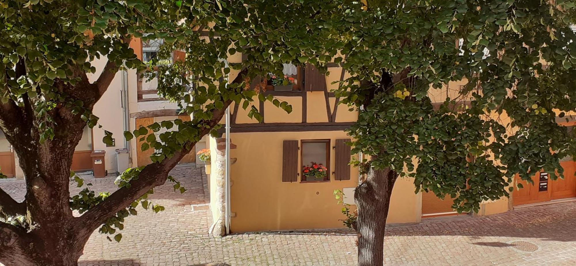 Holiday home De La Muse Rouffach