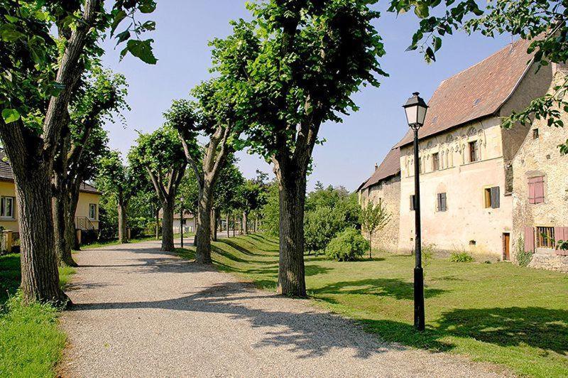 De La Muse Holiday home Rouffach