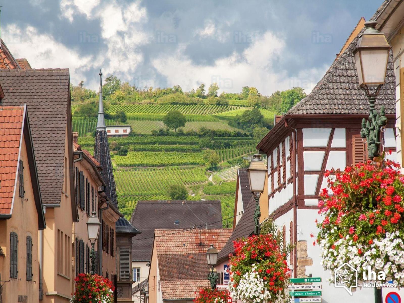 De La Muse * Rouffach